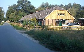 Ferienwohnungen 3 Birken
